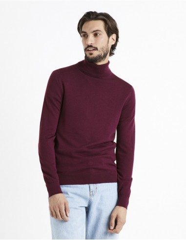 Pull col roulé 100% laine mérinos