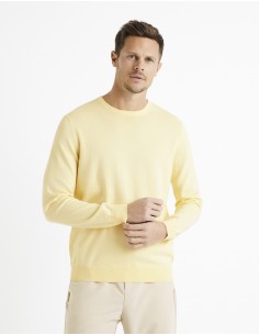 pull col rond 100% coton -...