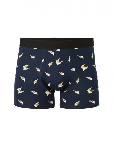 Caleçons boxer à motifs