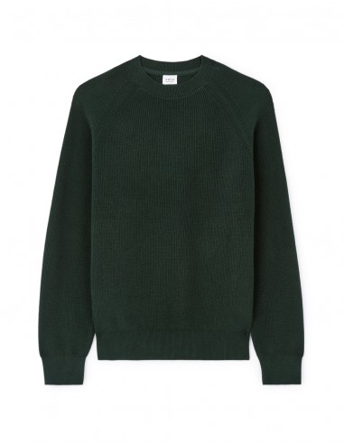 Pull col rond 100% coton