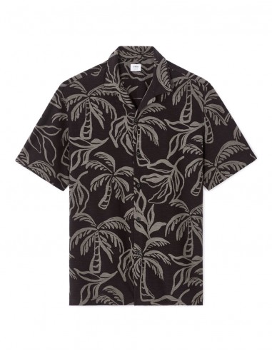 Chemisette regular imprimé palmier