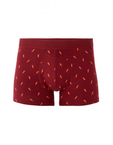 Boxer à motifs carottes
