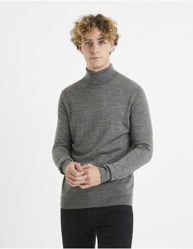 Pull col roulé 100% laine mérinos