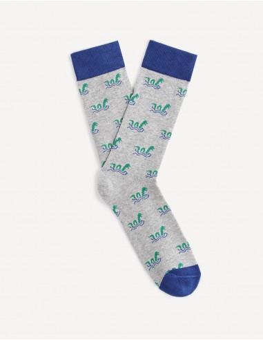Chaussette Homme
